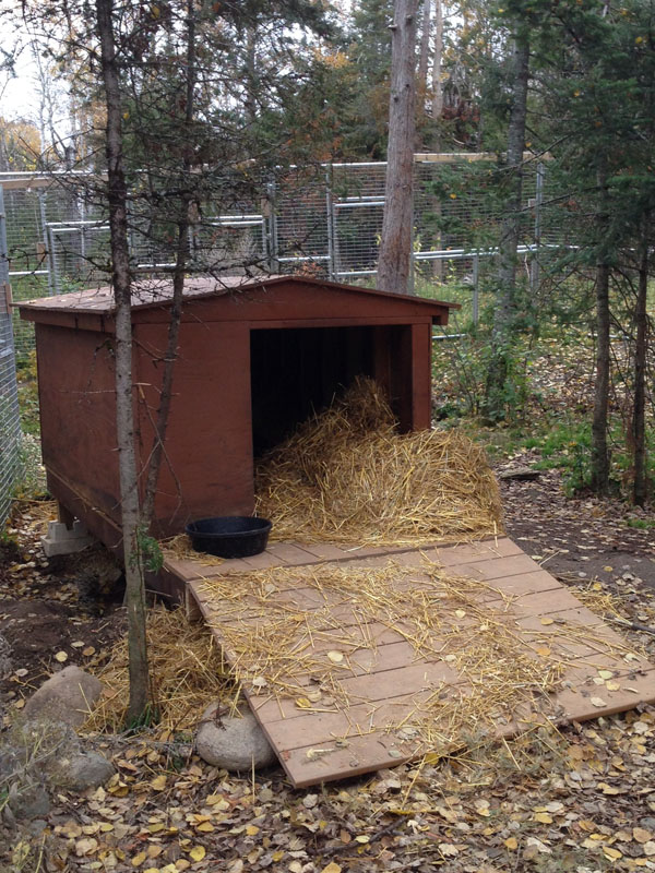 Ted's Chalet Den