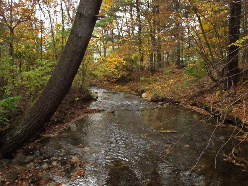 Mill Creek - 10/20/14