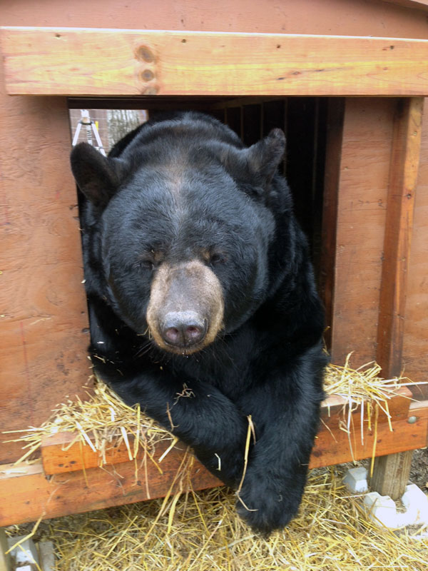 Ted trying to stay awake