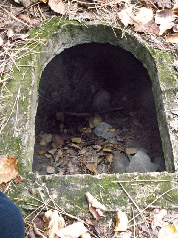 June's Den 2005-2006