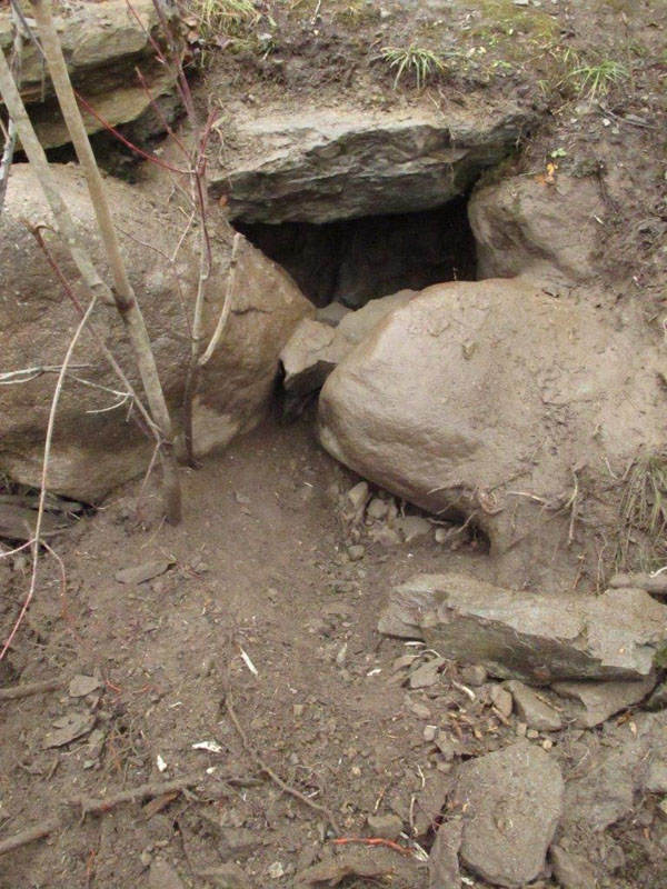 Holly's dug den