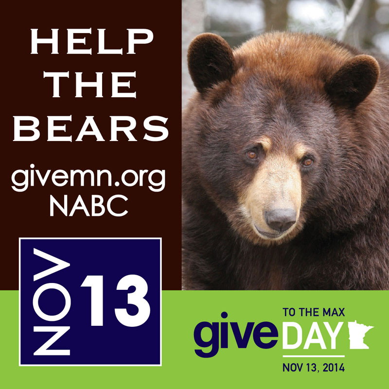 GiveMN - November 13