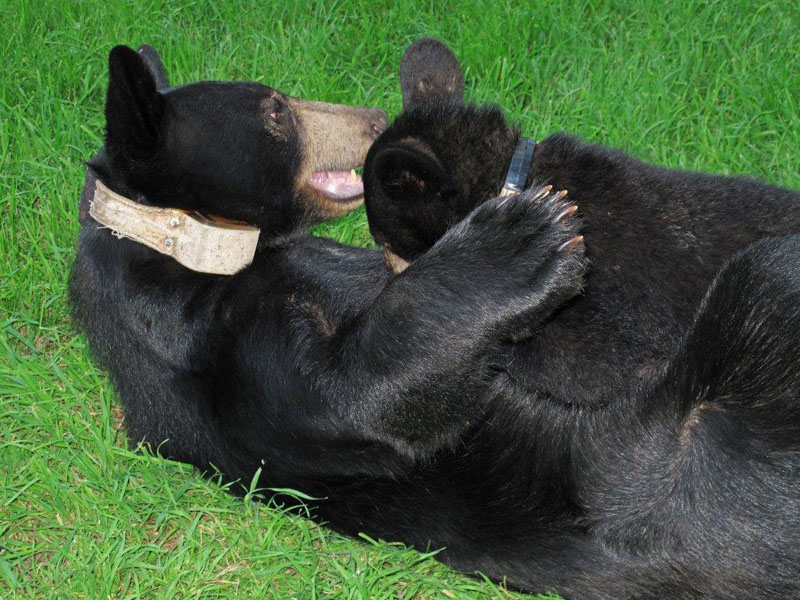 Lily and Hope - 07/18/10