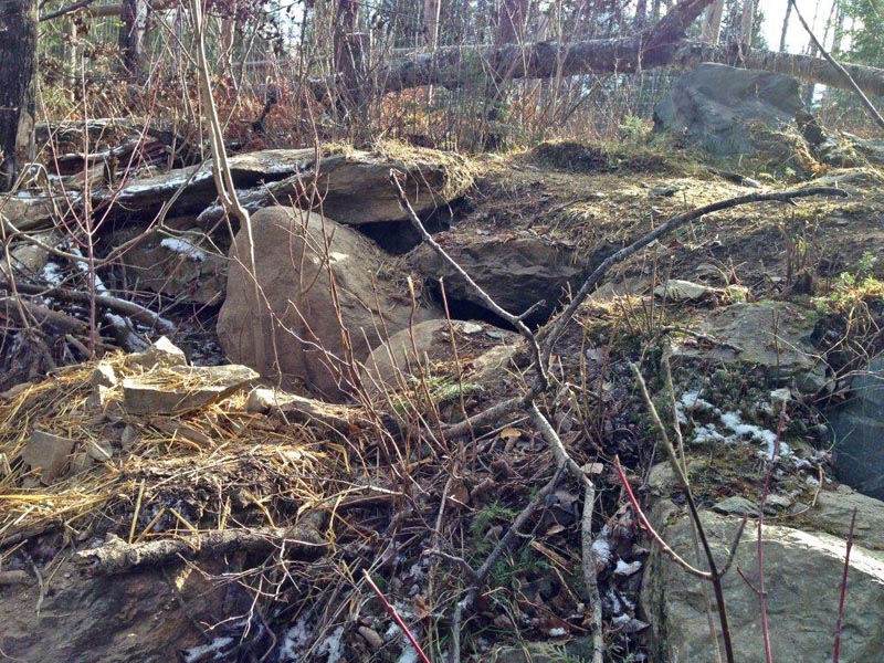 Holly's Rock Den - 11/2/2014