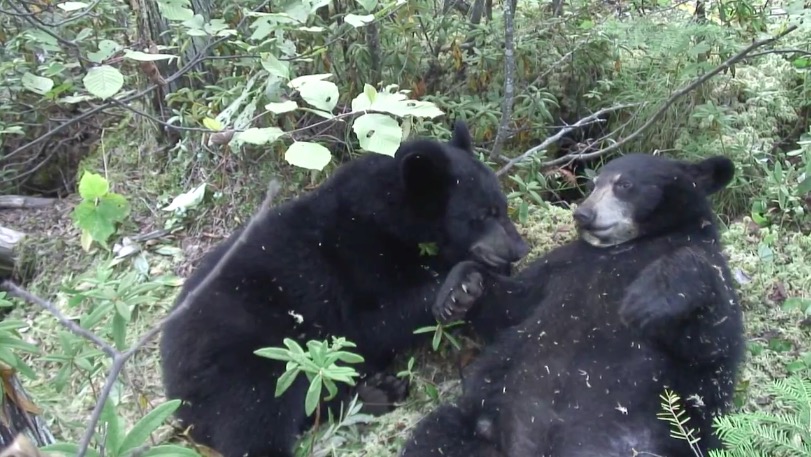 Cal and Lily - 09-02-2007