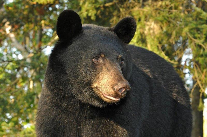 Bill - August 29, 2012