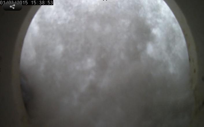 The view from Holly's cam