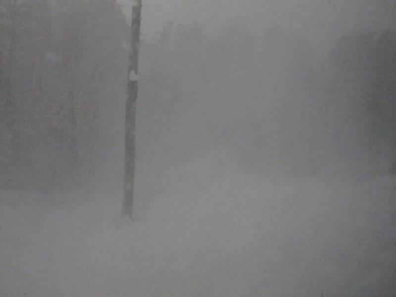 White-out in Ely