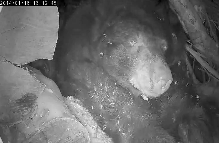 Juliet stretches - January 16, 2014