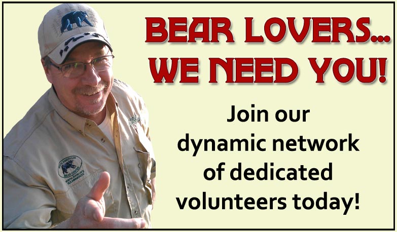 Volunteer Today