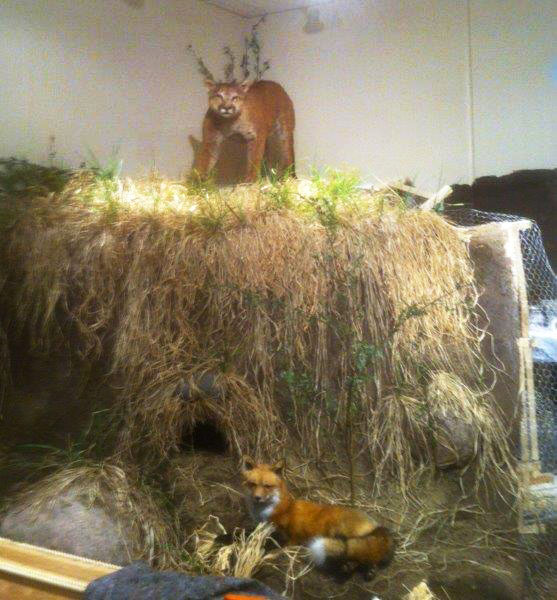 Northwoods Ecology Hall