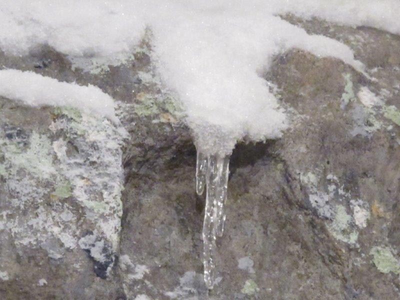 Northwoods Ecology Hall