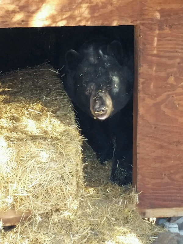 Ted with his straw