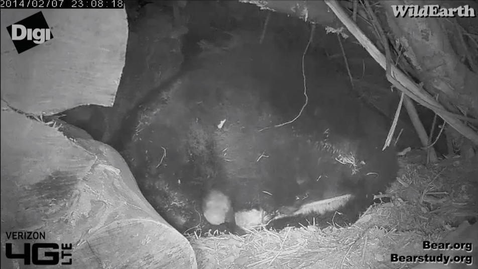 Juliet - February 7, 2014