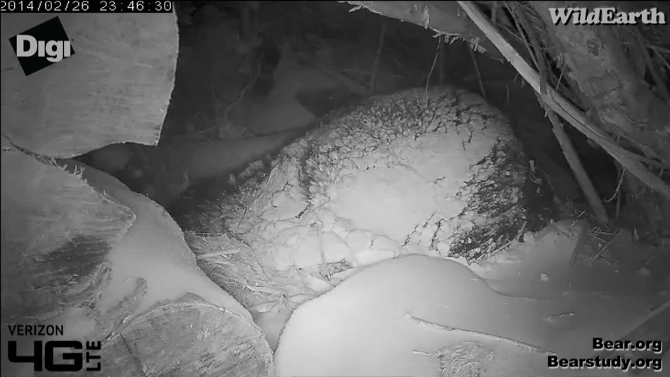 Juliet - February 26, 2014