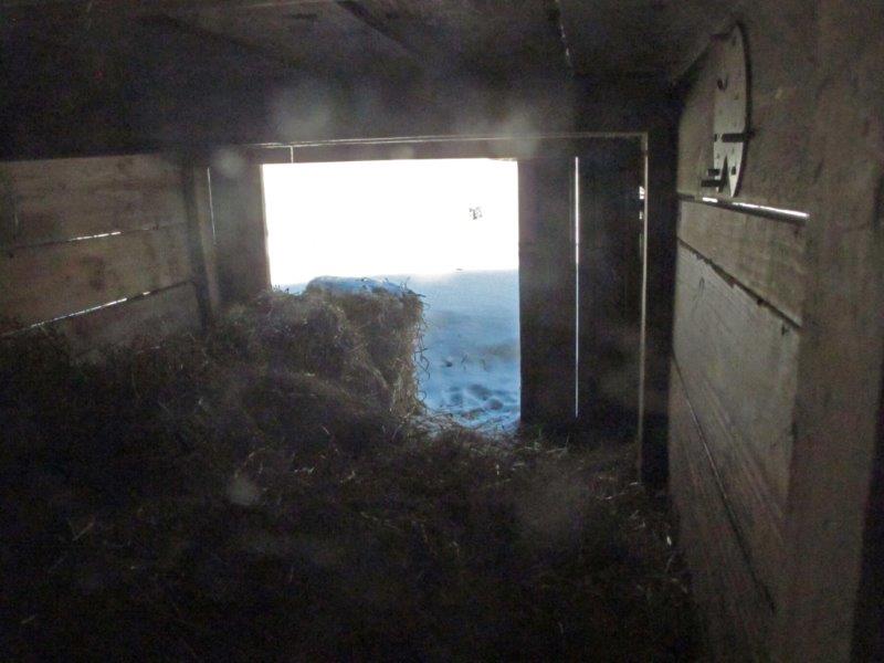 Honey - March 5, 2015