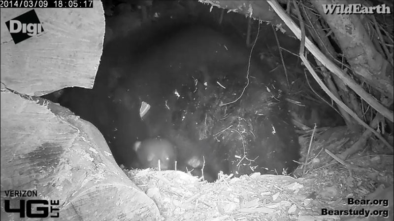 One eye open - March 9, 2014