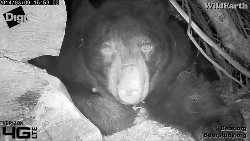 Juliet - March 9, 2014