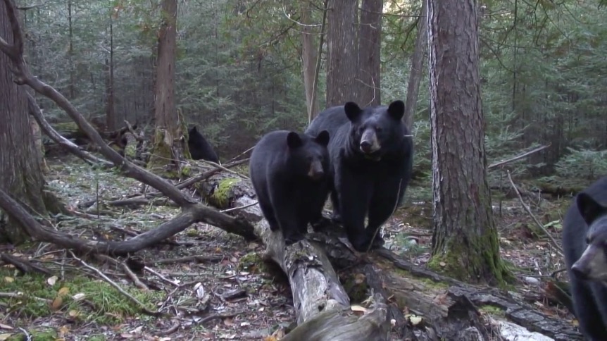 June and cubs - 09-28-07