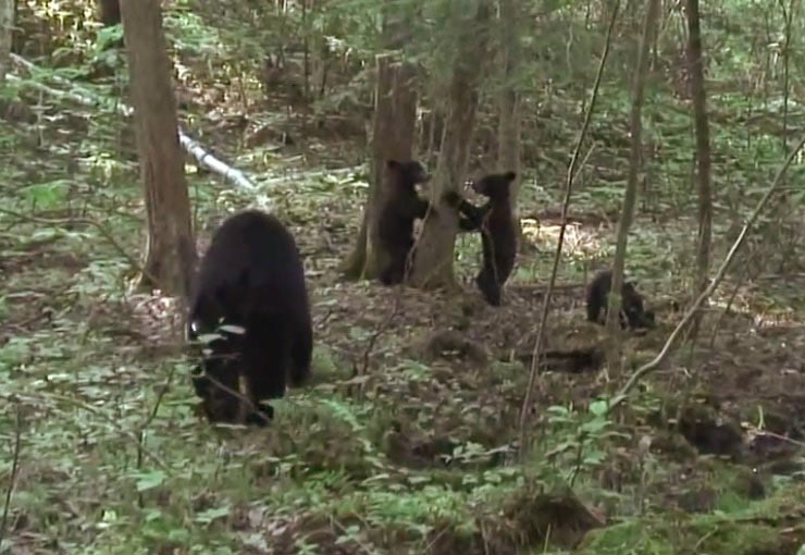 June's family - 6-22-2007