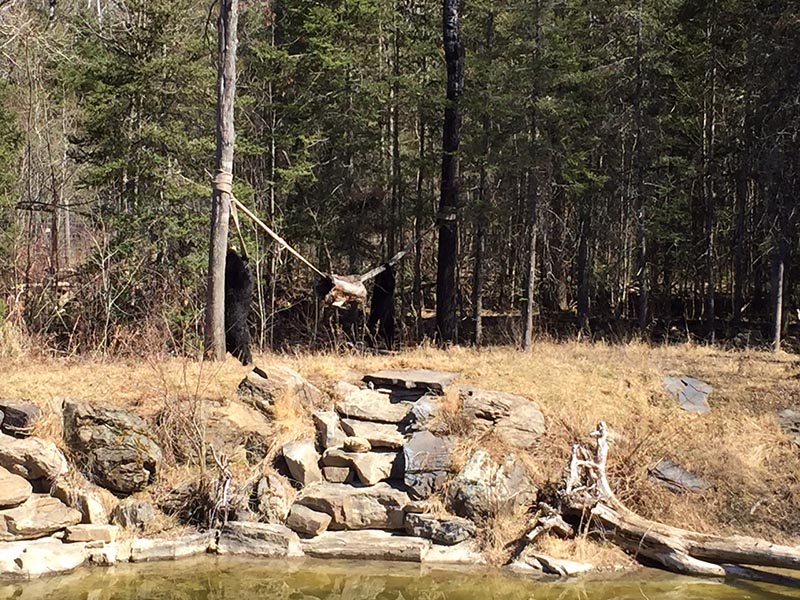 Lucky with the firehose