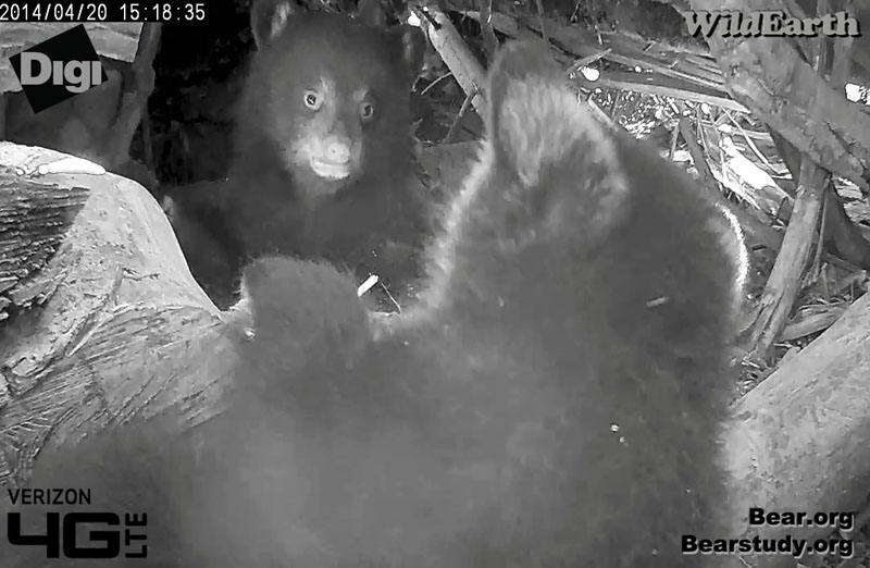 This day last year in Juliet's den - 2014