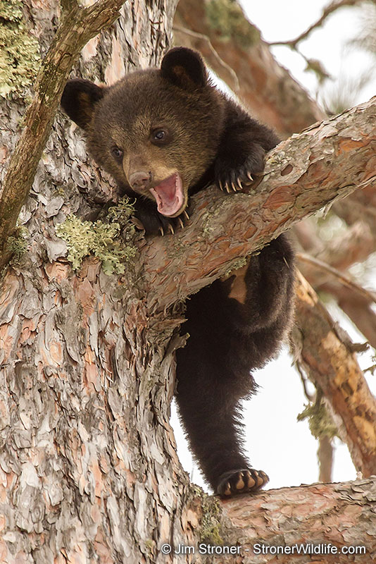 Eli - April 13, 2013