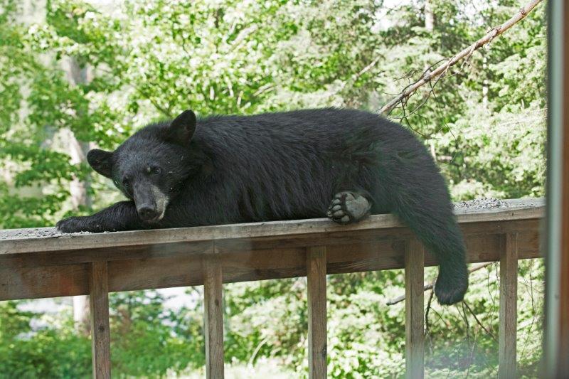 Mike resting