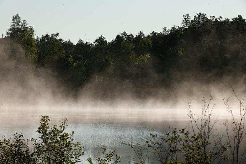Mist on the lake