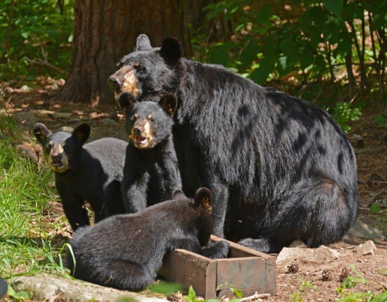 Juliet and her family on July 27, 2014
