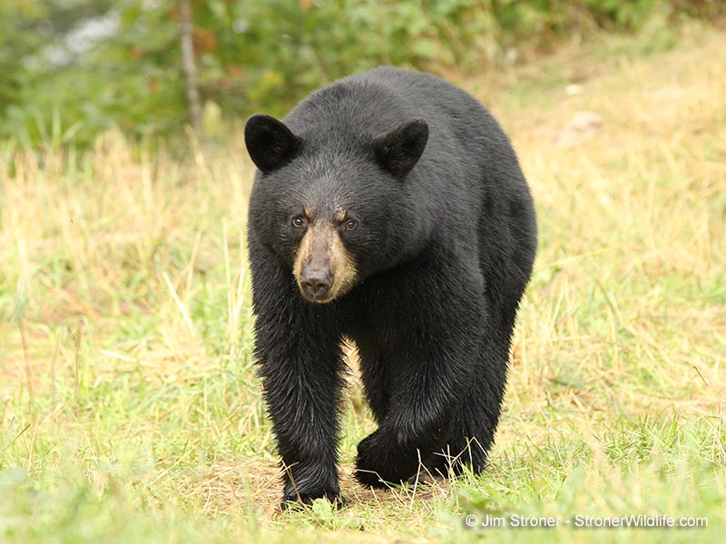 Lorie - August 29, 2015