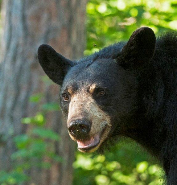 Lily on July 7, 2015