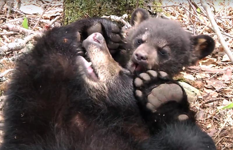 Hope and Faith - May 15, 2011