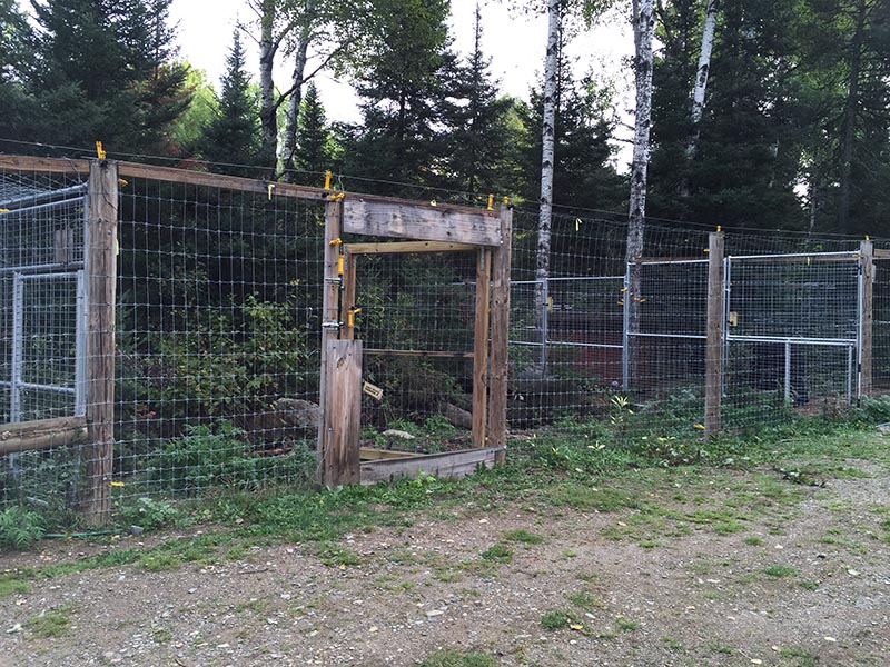 Ted's Chalet expansion