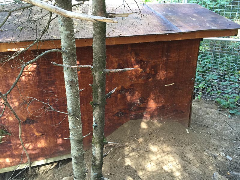 Dirt thrown from digging