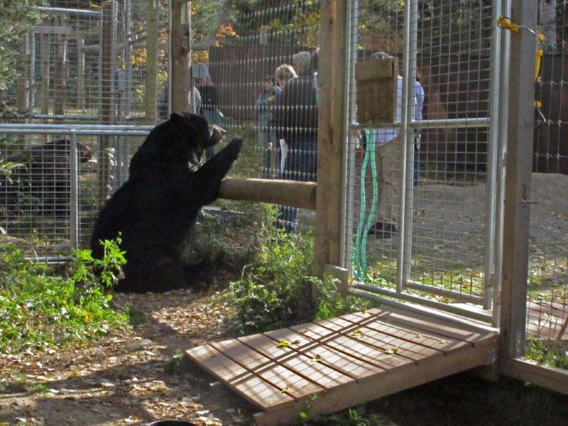 Ted enjoying visitors