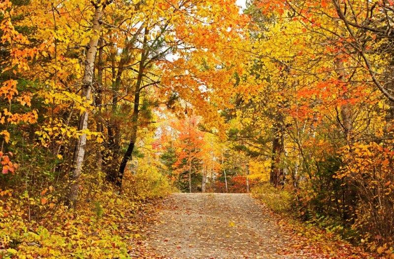 Driveway on October 10, 2015