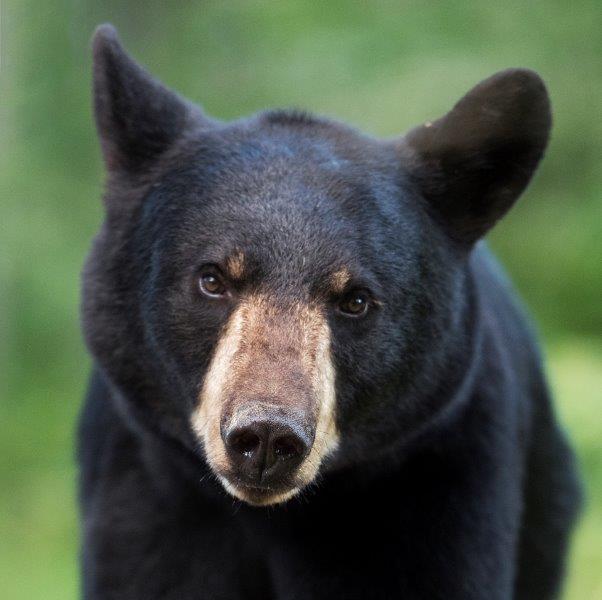 Faith - August 10, 2015