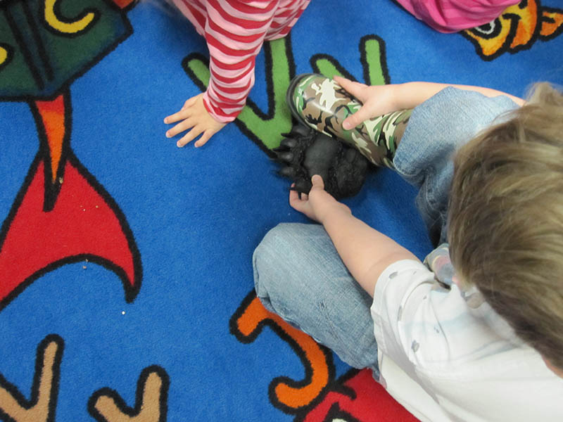 Exploring the Black Bear Box