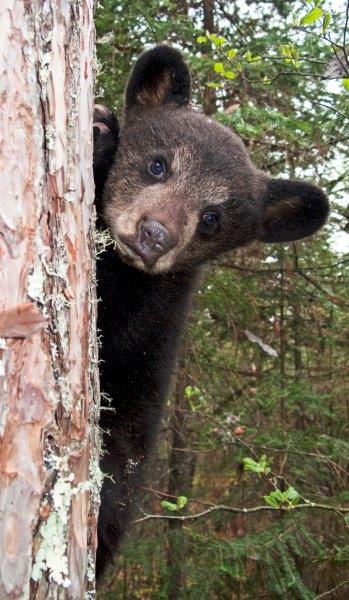 Hope - April 29, 2010