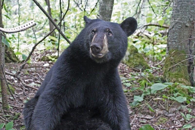 Hope saying "No Way" to the collar - August 16, 2011
