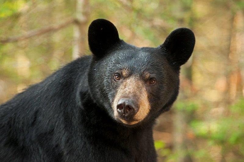 Lily - August 6, 2014