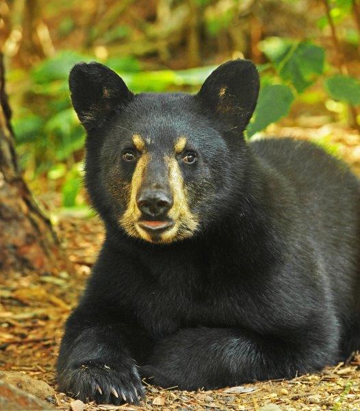 Cole - August 20, 2013