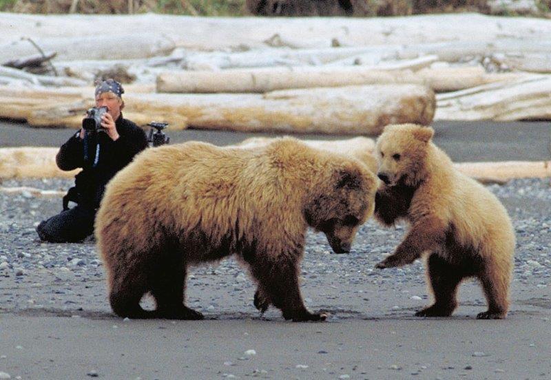 Timothy Treadwell photographing grizzlies