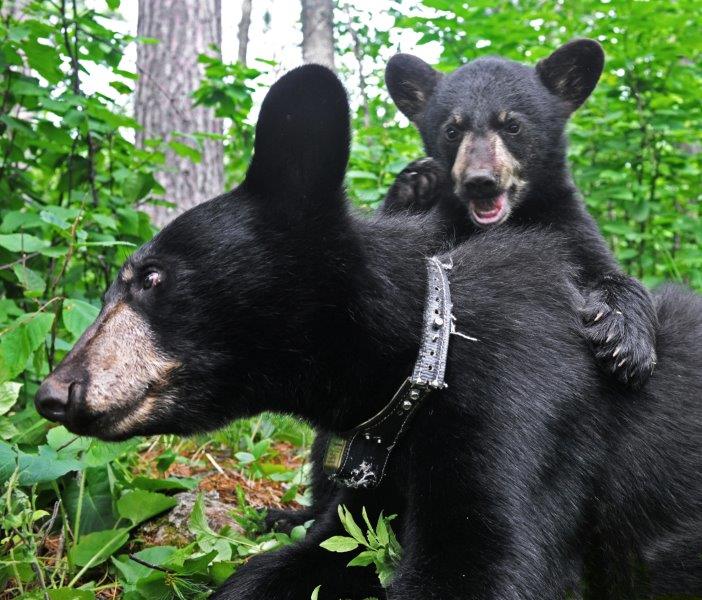 Faith on Hope - July 12, 2012