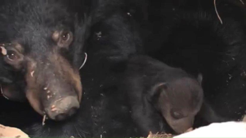 June and Lily - 02/21/07