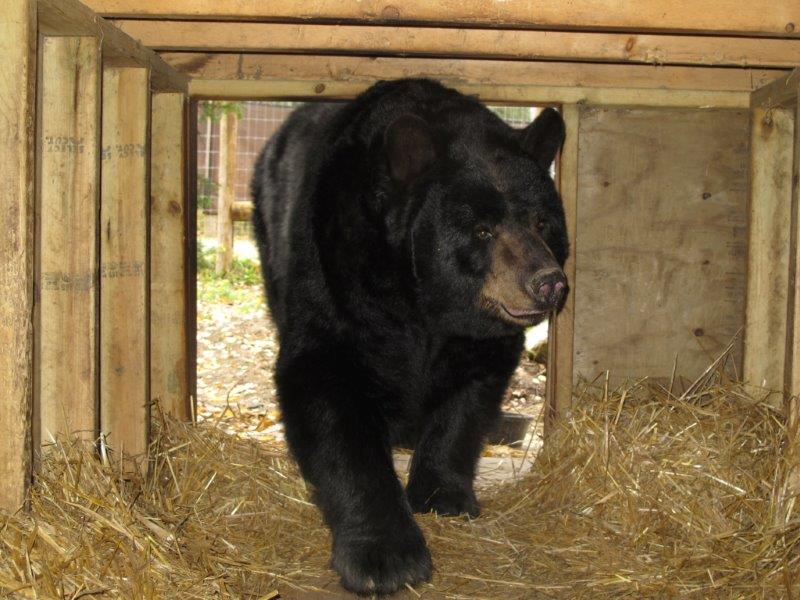 Ted - October 13, 2015