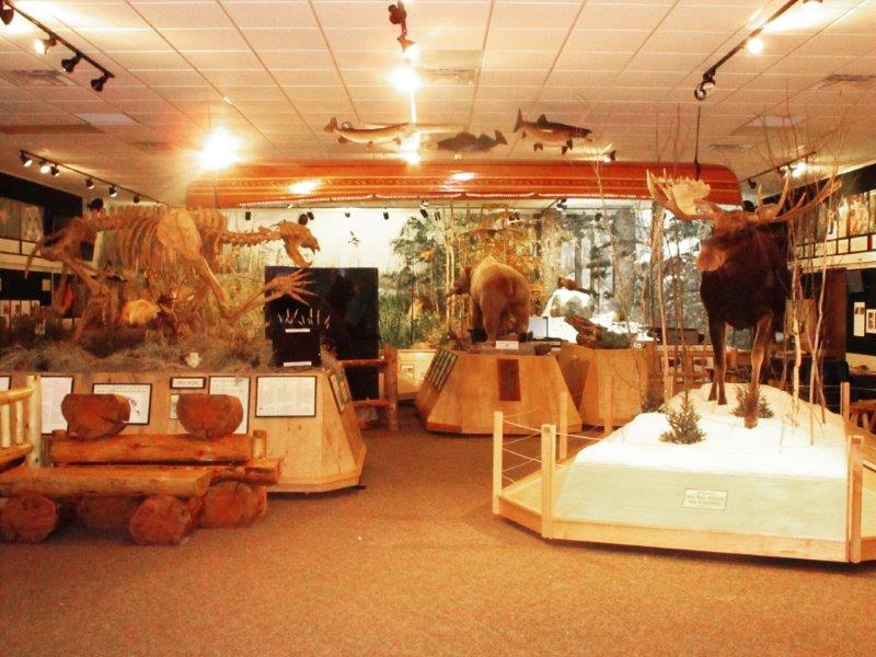 Bear Center