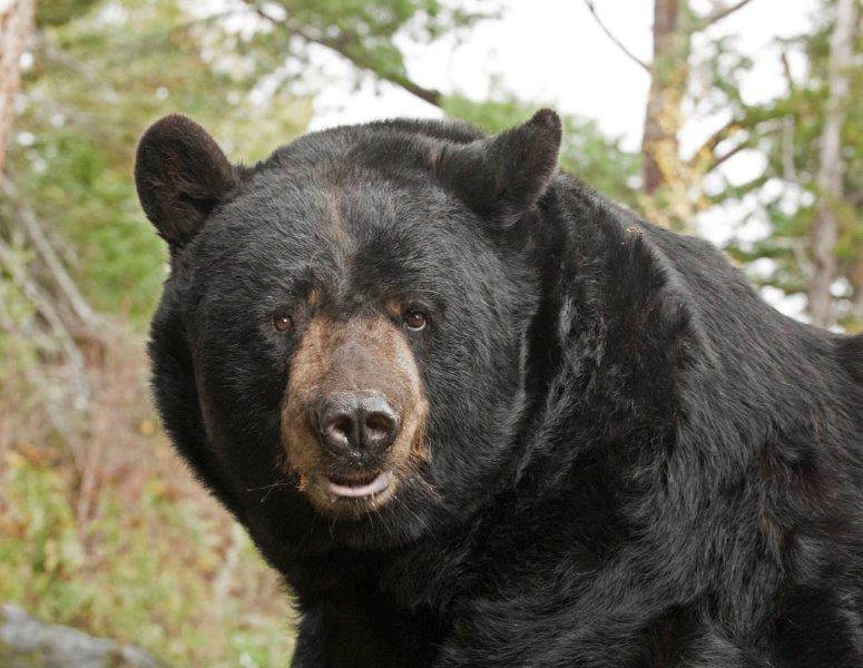 Ted - October 4, 2014