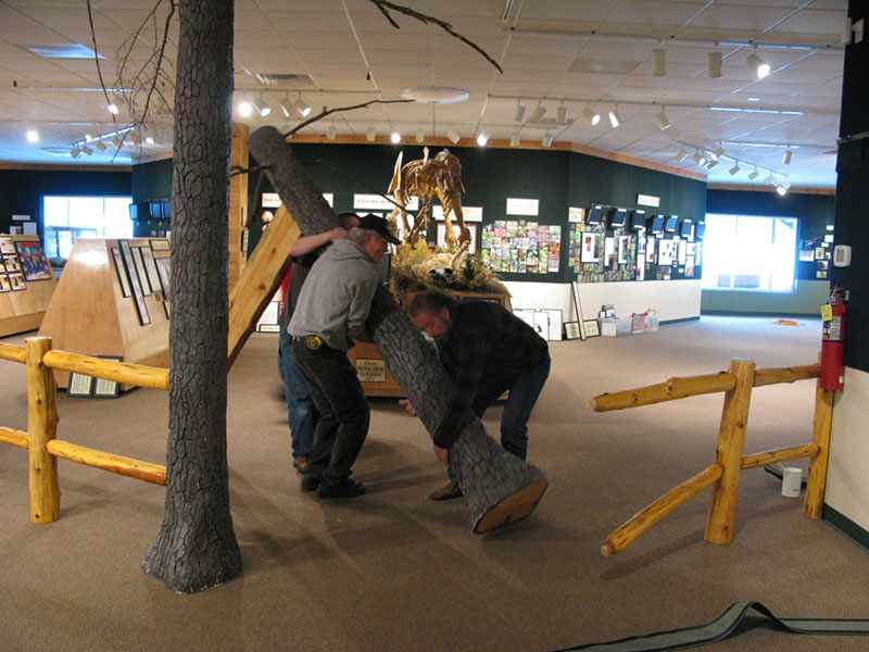 Moving the white pine